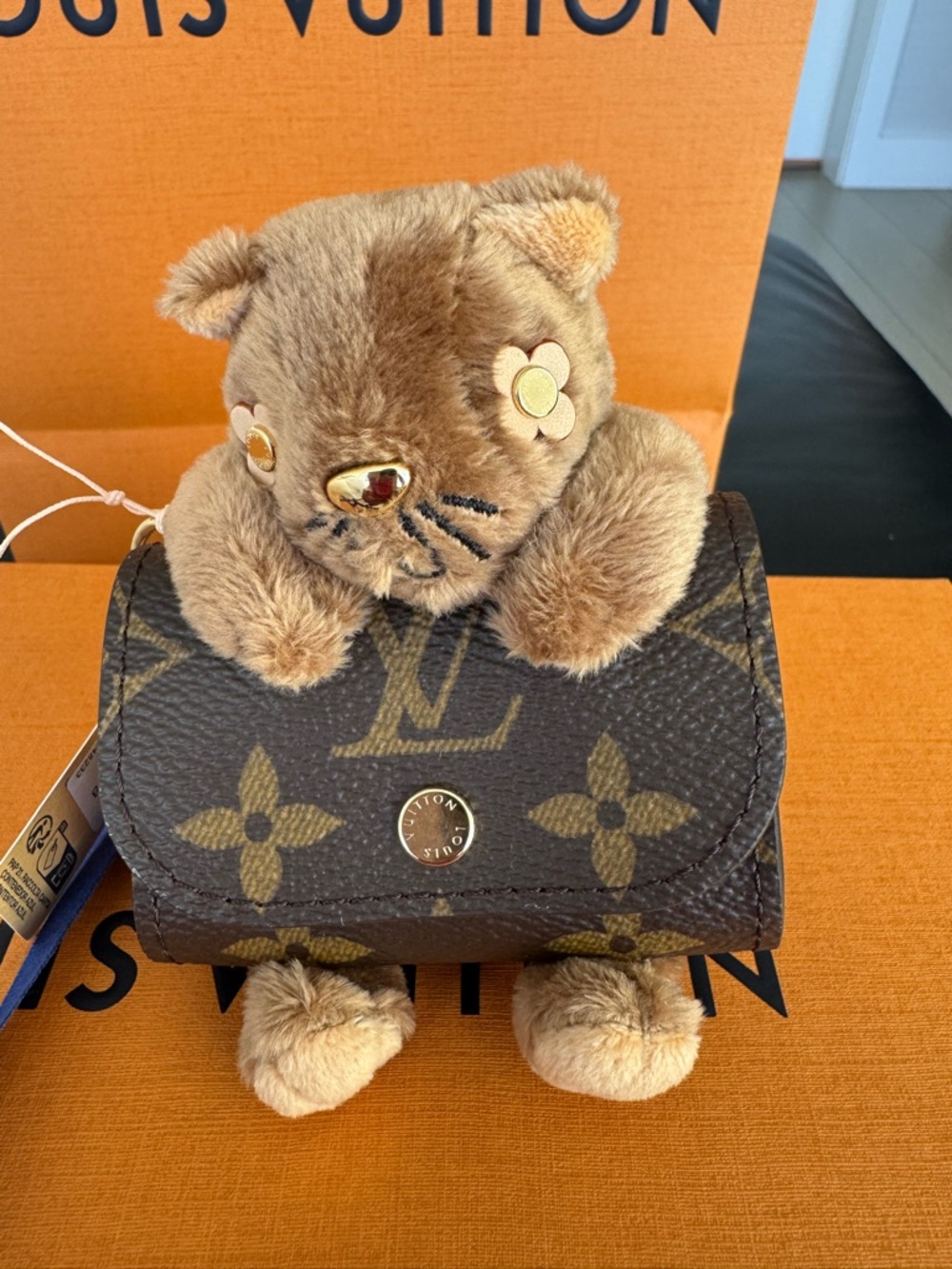 Louis Vuitton cute cat pouch earphone case